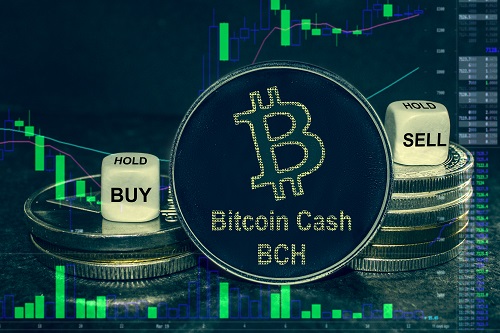 pro-delivers-a-$2-trillion-bch,-solana,-litecoin,-mina,-bitcoin-price-prediction